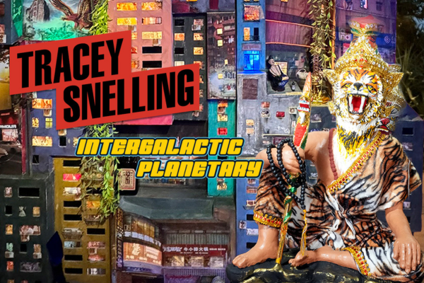 Tracey Snelling's installation